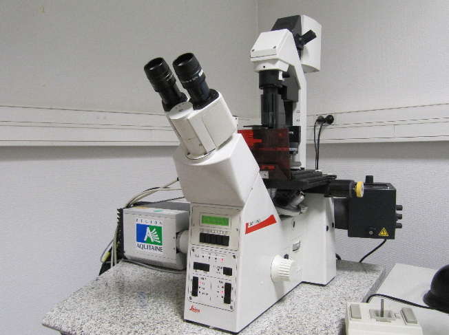Microscopie électronique